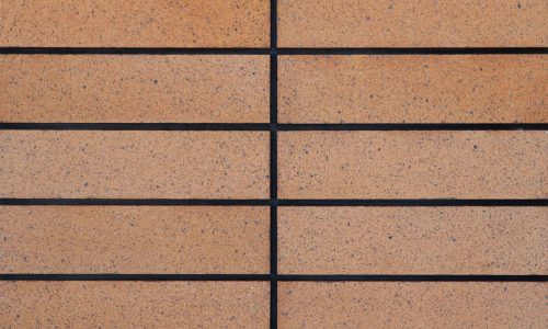 شاموتی-10-در40-A1-site-